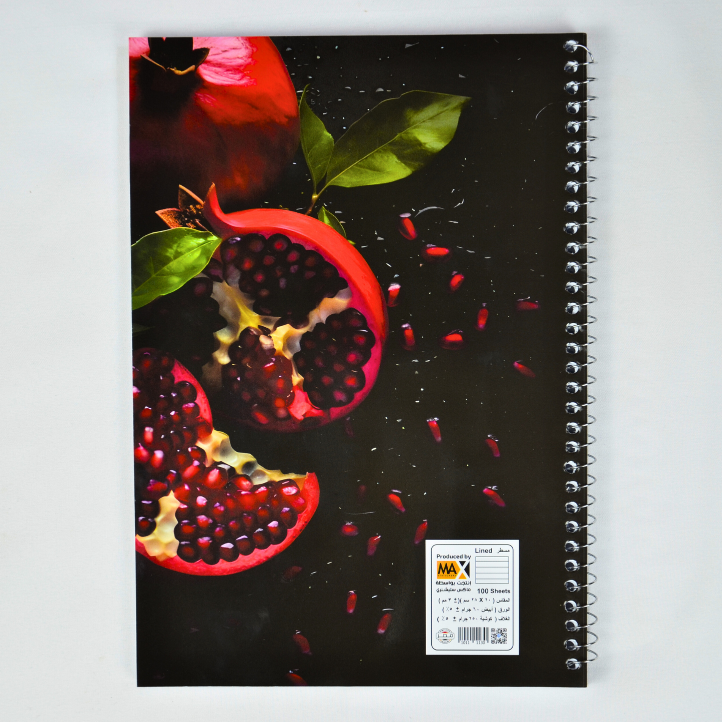 Wire bound Notebook | Size A4 20 cm x 28 cm | 60 GSM | Lined | 100 sheets | Fruity Style